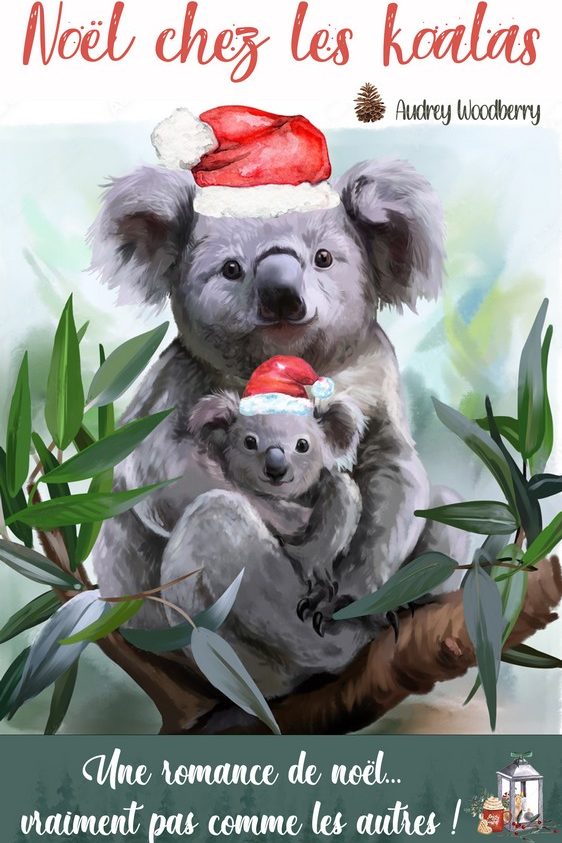Noël chez les koalas